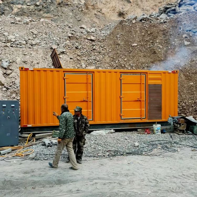 白马井镇如何选择适合自己的 800KW 柴油发电机组？